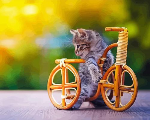 Bicycle kitten paint by number