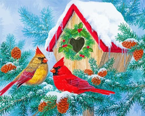 Christmas Cardinals Birdhouse paint by number