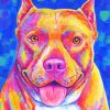 Colorful Pitbull paint by number
