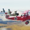Fokker Planes paint by number