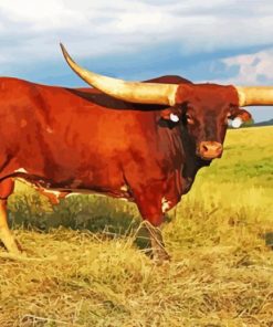 Long Horn Cattle Animal paint by number