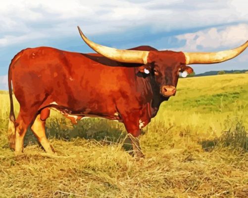 Long Horn Cattle Animal paint by number