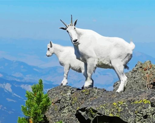 Mountain Goats paint by number