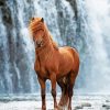 Waterfall Wild Beautiful Horse paint by number