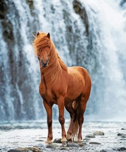 Waterfall Wild Beautiful Horse paint by number