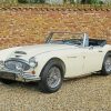 Beige Austin Healey Car paint by number