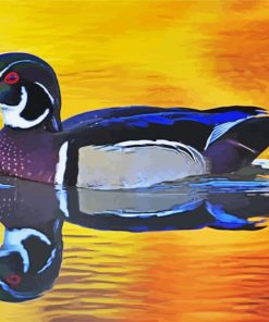 Bird Duck Swimming paint by number