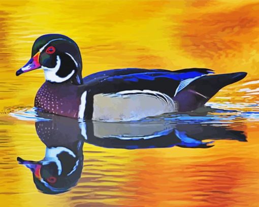 Bird Duck Swimming paint by number