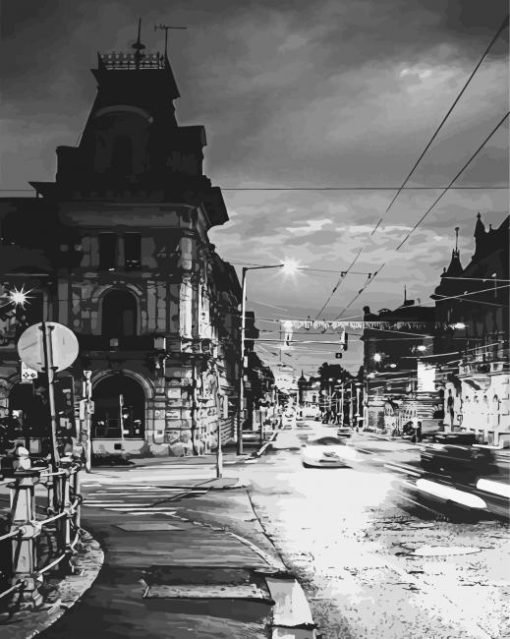 Black And White Szeged Street paint by number