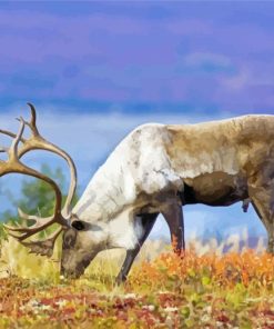 Caribou Northwestern Animals paint by number