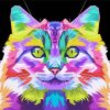 Colorful Norwegian Cat paint by number