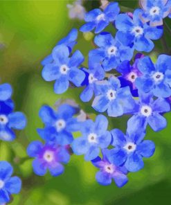 Cool Blue Wildflowers paint by number