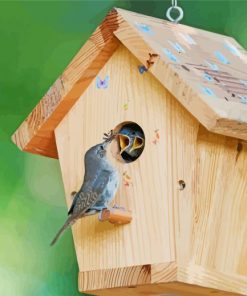 Cute Birds And Bird Houses paint by number