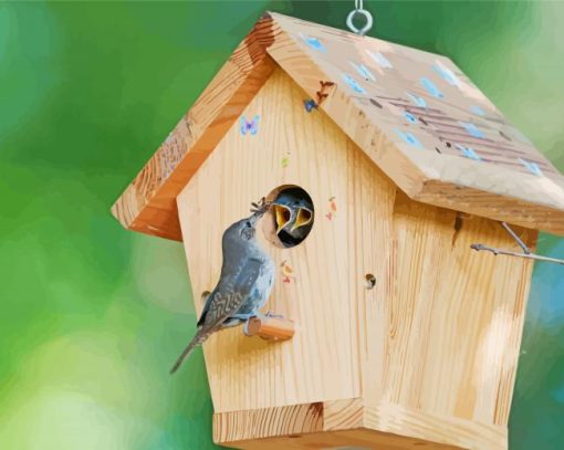 Cute Birds And Bird Houses paint by number