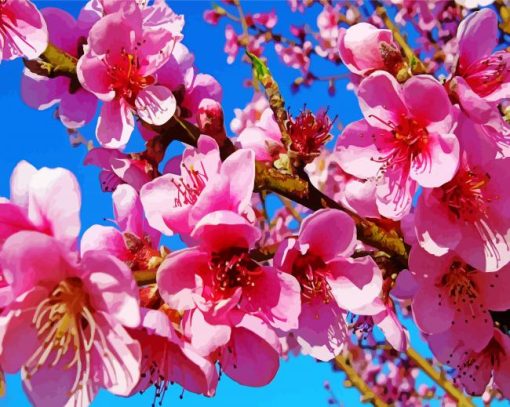 Pink Peach Blossoms paint by number