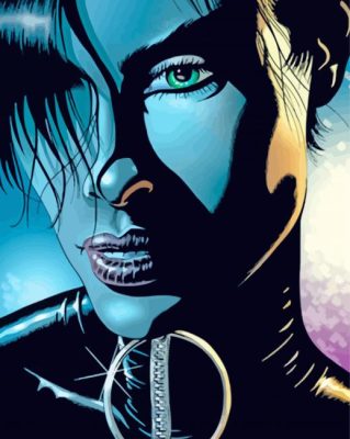 Selina Kyle paint by number