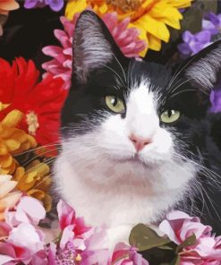 Tuxwdo Cat Flowers paint by number