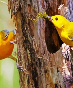 Yellow Birds In Tree paint by number
