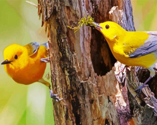 Yellow Birds In Tree paint by number