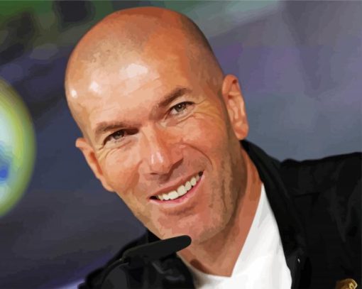 Aesthetic Zinedine Zidane paint by number