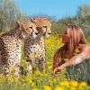 Aesthetic Woman With Cheetah Animal paint by number