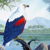 African Fish Eagle Art paint by number