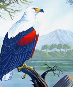 African Fish Eagle Art paint by number