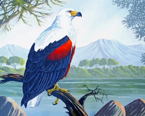 African Fish Eagle Art paint by number