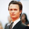 American Actor Ansel Elgort paint by number