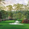Augusta National Golf Club paint by number