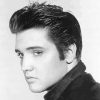 Black And White Elvis paint by number