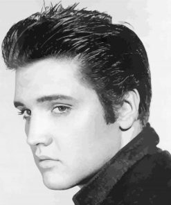 Black And White Elvis paint by number