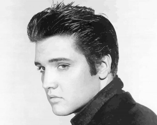 Black And White Elvis paint by number