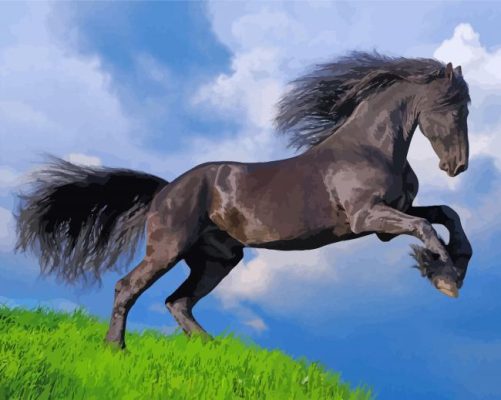 Black Horse paint by number