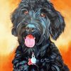 Black Poodle Art paint by number