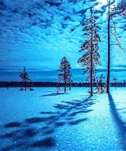 Blue And White Winter Night paint by number