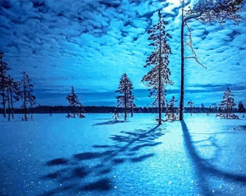 Blue And White Winter Night paint by number