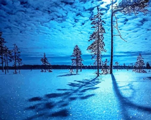 Blue And White Winter Night paint by number