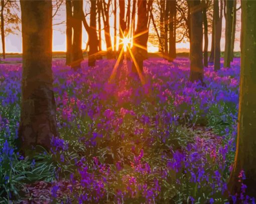 Bluebell Wood At Sunrise paint by number