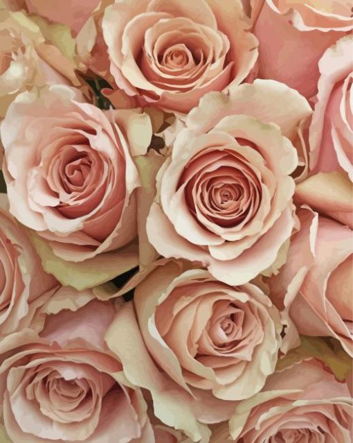 Blush Flowers paint by number