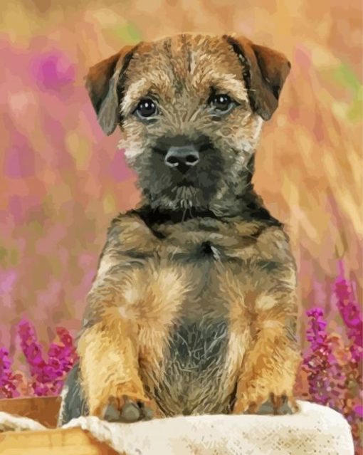 Border Terrier Puppy Dog paint by number