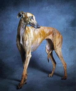 Brown Galgo Dog paint by number