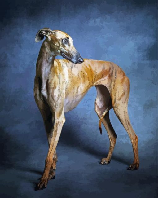 Brown Galgo Dog paint by number