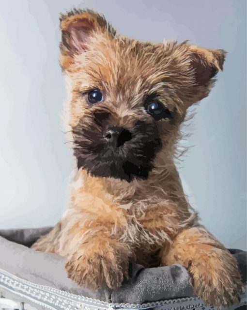 Cairn Terrier In Basket paint by number