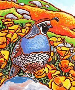 California Quail Bird Art paint by number