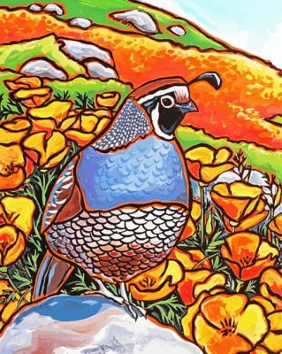 California Quail Bird Art paint by number