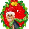 Christmas Yorkshire Terrier paint by number