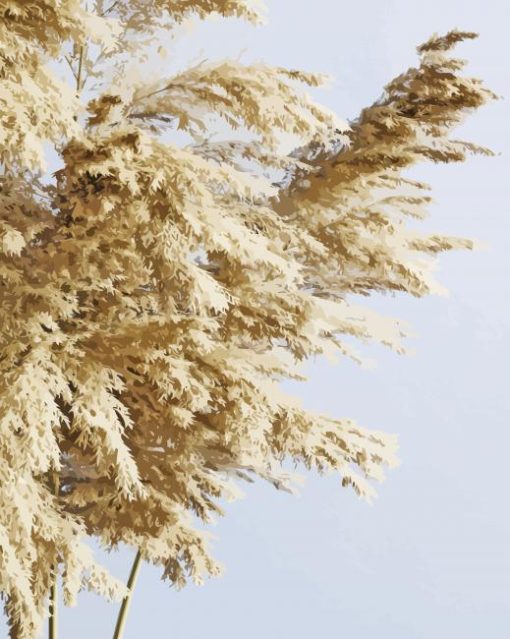 Close Up Pampas Grass paint by number