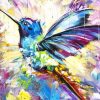 Colorful Abstract Hummingbird paint by number