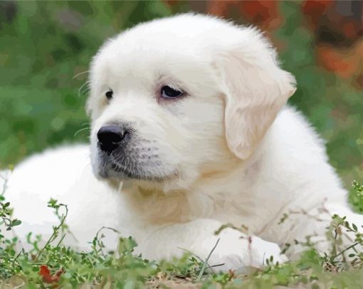 Cool White Retriever paint by number